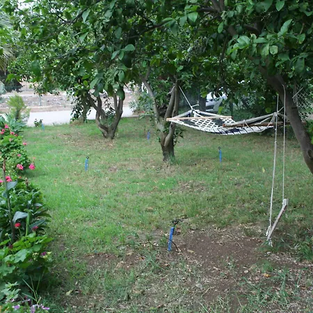 Naz Çıralı
