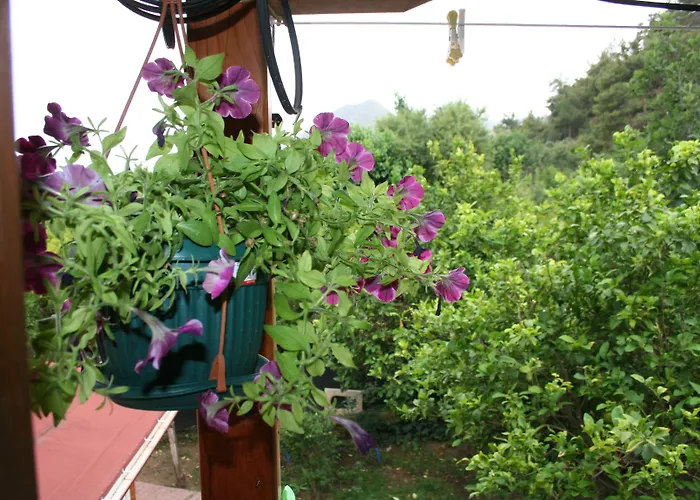 מלון Naz Çıralı