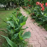 Naz Çıralı