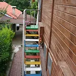 Naz *